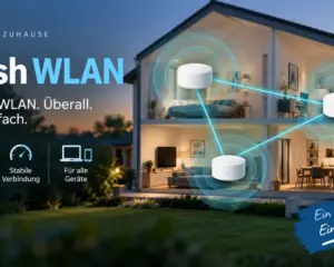 Mesh W-LAN